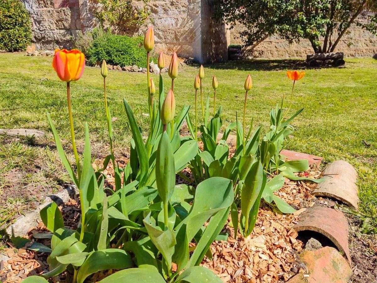Janot Casa Con Jardin Cerca Del Holiday home